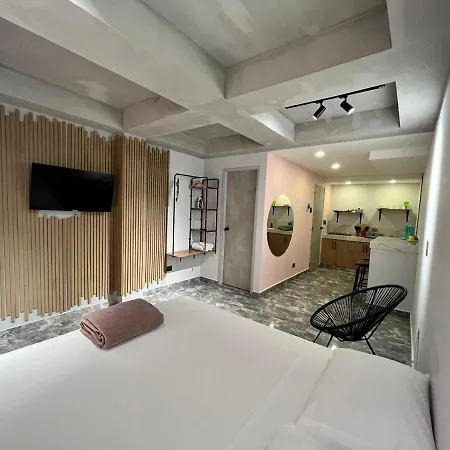 Awesome Brand New Studio Near Old Town Apartment